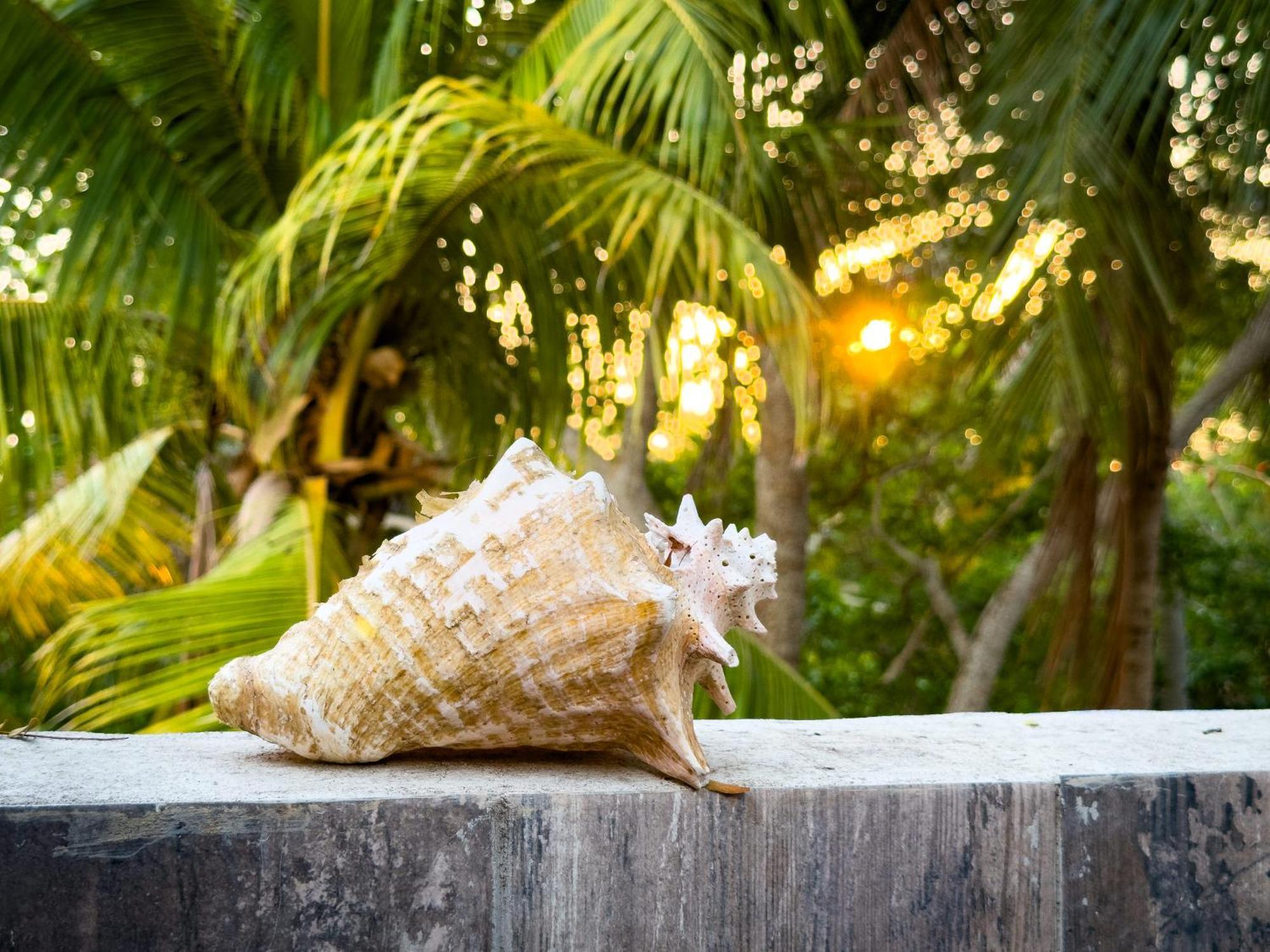 Hotel Playa Manglares Isla Baru Santa Ana  Ngoại thất bức ảnh