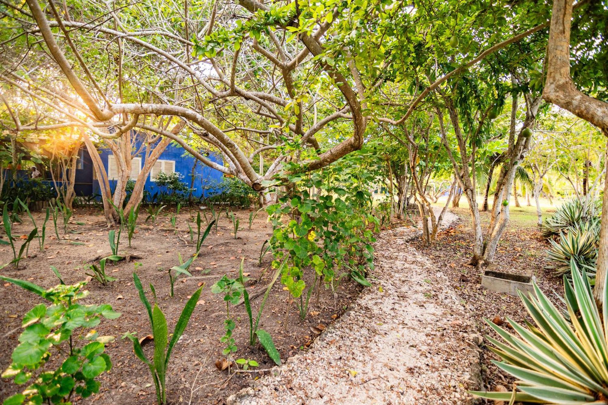 Hotel Playa Manglares Isla Baru Santa Ana  Ngoại thất bức ảnh